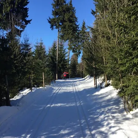 Zluty Dum - Krusne Hory Holiday home Cesky Jiretin