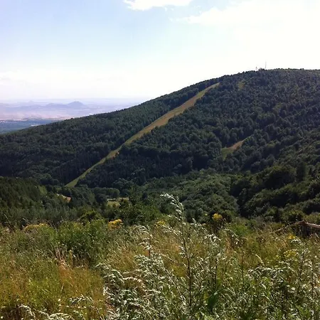 Zluty Dum - Krusne Hory Holiday home *